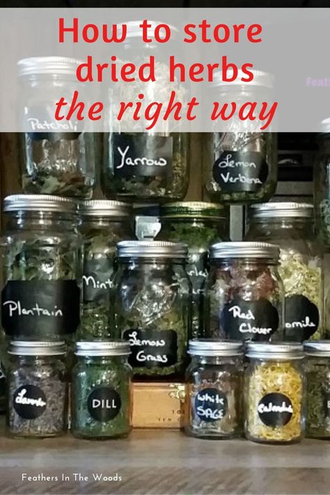 Herbs properly stored in glass jars, how to store them. Preserve Fresh Herbs, Drying Fresh Herbs, Freezing Food, Herb Storage, Preserving Herbs, Survival Ideas, Natural Recipes, Herb Gardening, Dried Herbs