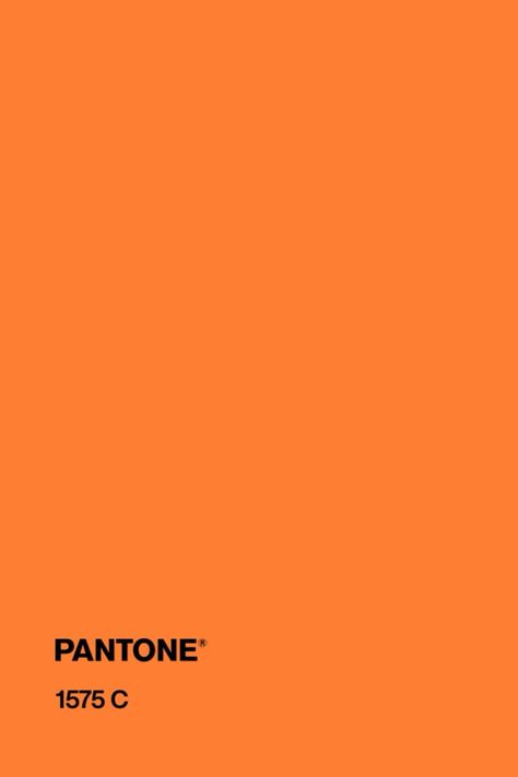 #pantone #orange #color #pantone1575c Orange Pantone, Pantone Swatches, Sweet Sixteen Birthday Party Ideas, Sweet Sixteen Birthday, Sweet Sixteen, Fm Radio, Papaya, Color Palettes, Orange Color