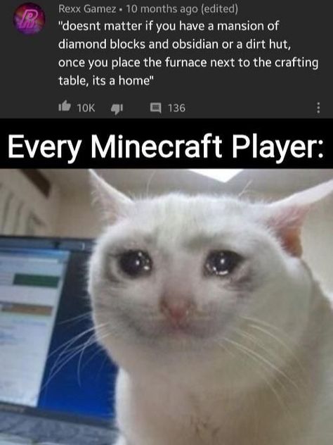 Minecraft Jokes, Crafting Table, A Mansion, Minecraft Funny, Minecraft Memes, Minecraft Creations, Crazy Funny Memes, Minecraft Designs, Gaming Memes