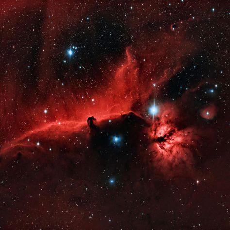 NeedSpace | Cool Space Stuff on Instagram: “What do you see in this nebula👀 ⠀ ⠀ Personally, I see a raging fire. This is the Horsehead Nebula, a small dark nebula in the constellation…” Horsehead Nebula, What Do You See, Constellations, Celestial Bodies, Instagram