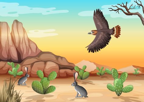 Rabbit Cartoon Drawing, Animals Landscape, Desert Forest, Mountains Desert, Rabbit Vector, Animal Templates, Desert Animals, Rabbit Cartoon, Animal Illustration