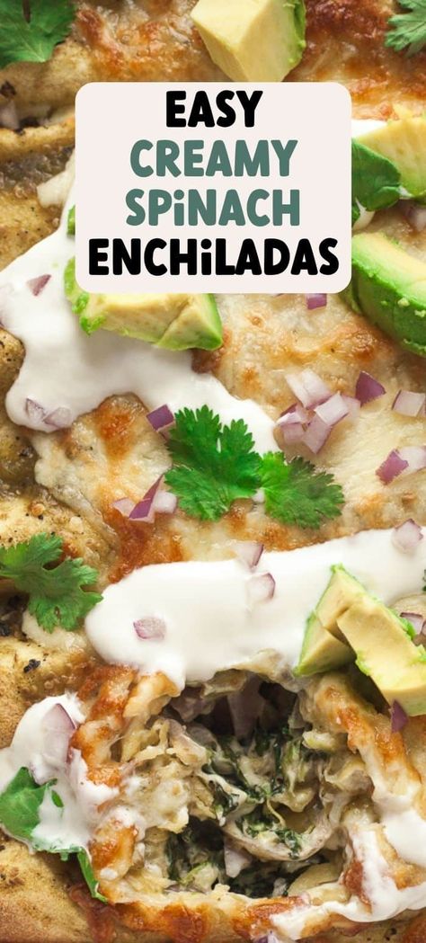 Spinach And Cream Cheese Enchiladas, Spinach Enchiladas Verde, Creamy Spinach Enchiladas, Spinach Enchiladas With White Sauce, Spinach And Cheese Enchiladas, Cream Cheese Enchiladas, Green Chili Chicken Enchiladas, Green Enchiladas, Enchilada Sauce Easy