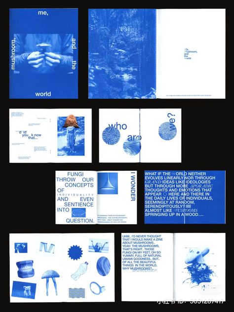 Process Book Graphic Design, Travel Publication Design, Zine Editorial Design, Cool Book Layout, Geometric Magazine Layout, Square Booklet Layout, Graphic Design Table Of Contents, Graphic Design Pamphlet, Work Book Ideas