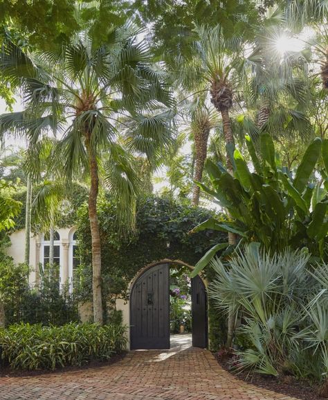 This Gracious Miami Home by Elizabeth Lawrence, Bunny Williams’s Partner, Is Filled with Color, Art and Antiques - 1stDibs Introspective Colonial Garden, London Drawing, Florida Mansion, Spanish Mediterranean, Bunny Williams Home, Wilmington Delaware, Bunny Williams, Miami Houses, Modern Style House Plans