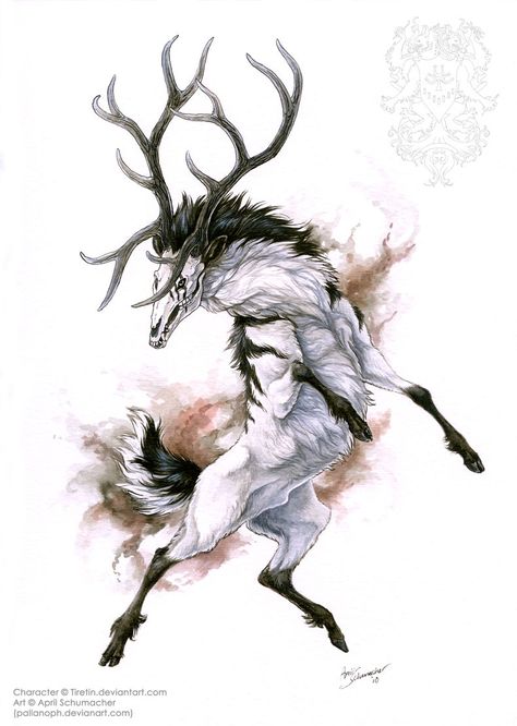 Demon deer Demon Animal, Irish Mythical Creatures, Mythical Animal, Fantasy Beasts, Skull Face, Fantasy Story, Fantasy Monster, Anime Wolf, Mythological Creatures