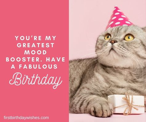 Best 200+ Birthday Wishes for Cat | Happy Birthday, Kitty! Cat Birthday Wishes, Cat Happy Birthday, Birthday Kitty, Unique Birthday Wishes, Cat Lover Birthday, Cat Happy, Love Anniversary Quotes, Fabulous Birthday, Love Anniversary