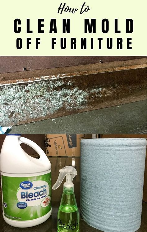 Mold Remover On Wood, Diy Upholstery Cleaner, How To Remove Mold, Remove Mold, Recycling Crafts, Furniture Painting Tips, Mildew Remover, Cleaning Mold, Mold Removal