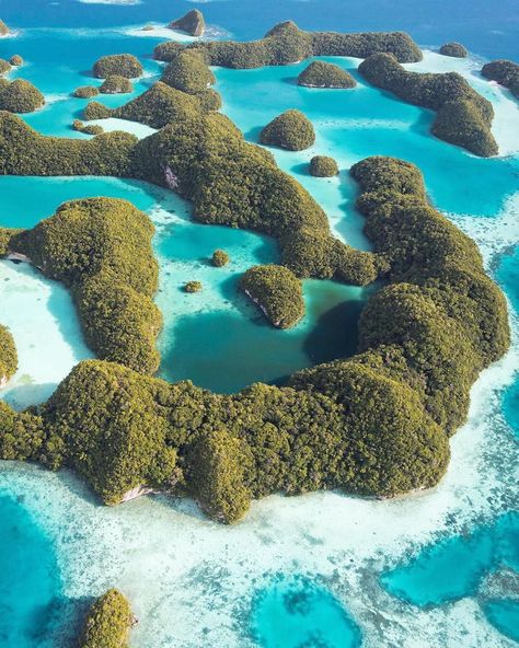 Palau Aesthetic, Palau Island, Paradise Places, Get Paid To Travel, Paid To Travel, Island Destinations, Coral Reefs, Destination Voyage, Island Getaway