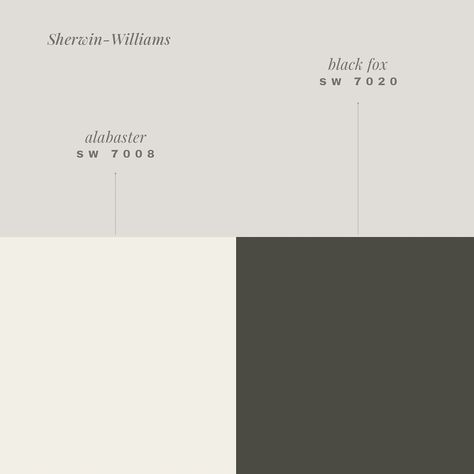 Here are 8 different black and white paint pairing for interiors. Over the past year, I’ve been collecting black and white paint samples, and these are some of my favorites. We chose Sherwin-Williams Tricorn Black and Pure White for our home, but if you’re looking for a different combination, this guide is for you! #InteriorDesign #HomeDecor #PaintColors #BlackAndWhite #ColorPairing #TrueWhite #Blackboard #SherwinWilliams #CrispWhite #ModernHome #HomeInspiration #DesignInspo #InteriorStyli... Shoji White And Tricorn Black, Sherwin Williams Shoji White, Tricorn Black, Sherwin Williams White, Shoji White, Black Fox, Color Pairing, Paint Samples, White Paint