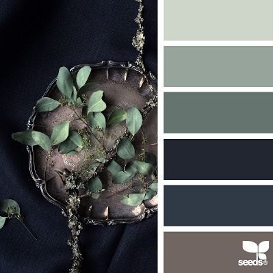 #black #Green #navy #brown Color palette inspiration Design Seeds Color Palette, Seeds Color Palette, Today's Inspiration, Seeds Color, Color Concept, Color Schemes Colour Palettes, Design Seeds, Color Balance, Color Stories