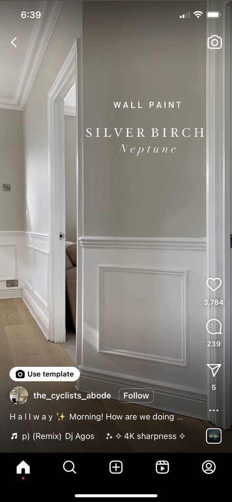 Neptune Silver Birch Paint, Silver Birch Paint Color, Silver Birch Neptune Paint, Hallway Paint Colors, Chicago Living, Office Loft, Living Room Panelling, Hallway Paint, Hallway Colours