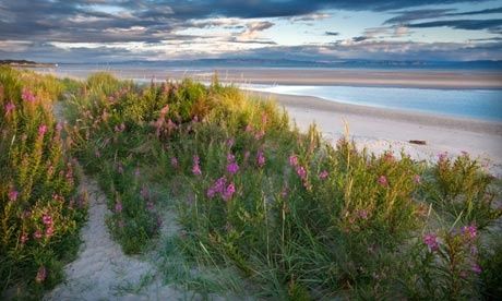 Country diary : Pink flowers of restharrow growing on the dunes of Nairn beach Nairn Scotland, Uk Adventure, Lovely Places, Open Water, Inverness, Beautiful Country, The Dunes, London City, Art And Architecture