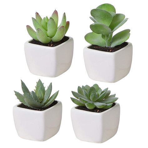 Tall Succulents, White Ceramic Planter, Fake Plants Decor, Fake Succulents, Mini Succulents, Artificial Succulents, Mini Plants, Room With Plants, Faux Succulents