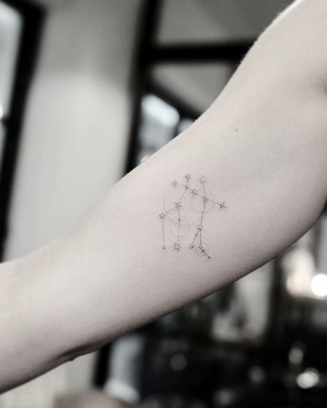 constellation tattoo inspiration Gemini Tattoo Designs, Dr Woo, Gemini Constellation, Minimalist Tattoo Ideas, Lizzie Saltzman, Constellation Tattoo, Gemini Tattoo, Meaningful Tattoos For Women, 4 Tattoo