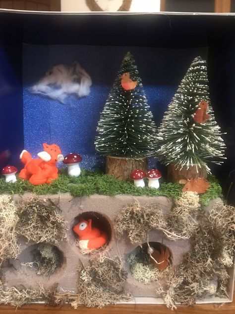 Fox Habitat School Project, Fox Craft Preschool, Fox Habitat, Shoe Box Diorama, Fox Craft, Biomes Project, Diorama Kids, Habitats Projects, Everyday Crafts