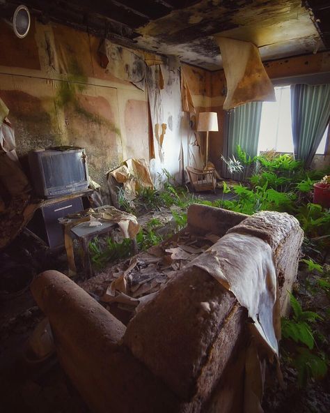 Potion Craft, Nature Reclaiming, Forgotten Things, Abandoned Hotels, Arts Project, Concrete Building, Art Folder, Olympic National Park, Big Tree