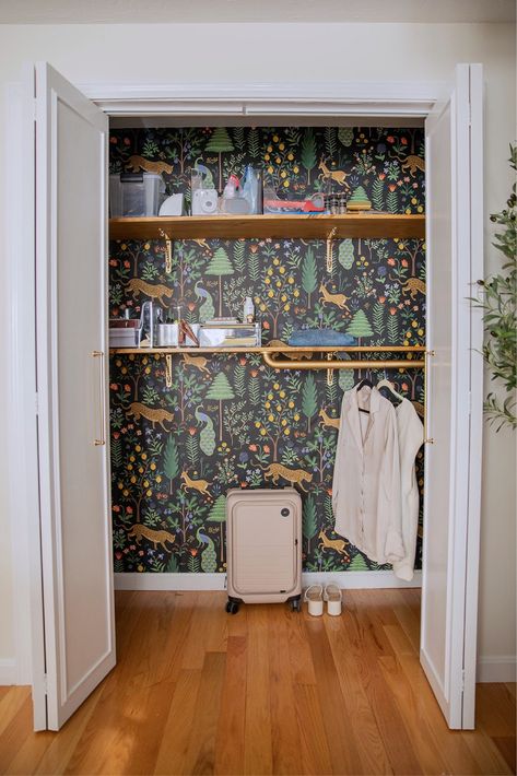 Organize coat closet