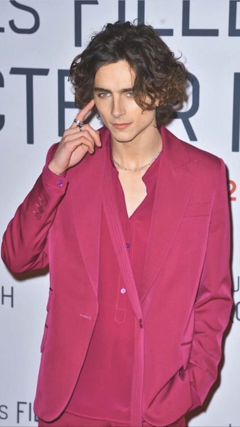 Male Movie Stars, Timmy T, Regulus Black, Matthew Gray, Matthew Gray Gubler, Pink Suit, Famous Men, Timothee Chalamet, Attractive People