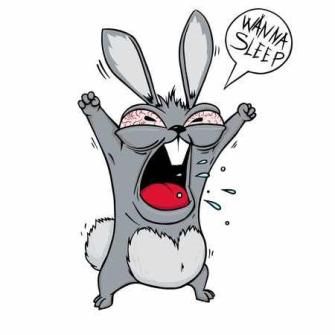 Rabbit Funny Cartoon, Screaming Animals, Crazy Rabbit, Bunny Meme, Rabbit Eating, Rabbit Illustration, Rabbit Cartoon, Art Clipart, Funny Cartoon