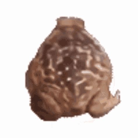 Frog Animated, Spinning Gif, Frog And Toad, Future Plans, Toad, Frogs, Animated Gif, Cool Gifs, Spinning