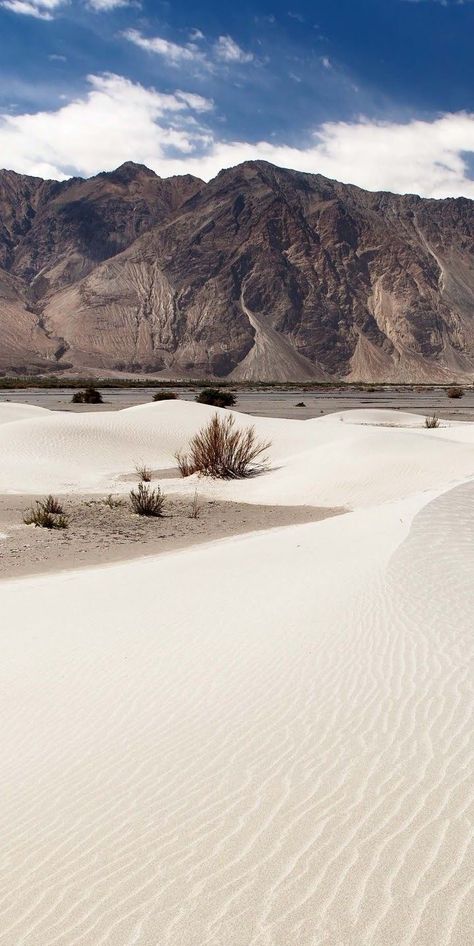 Nubra Valley, Landscape Desert, Watercolor Wallpaper Iphone, Mountain Snow, Original Iphone Wallpaper, Travel Landscape, Trippy Wallpaper, Iphone Wallpaper Images, Watercolor Wallpaper