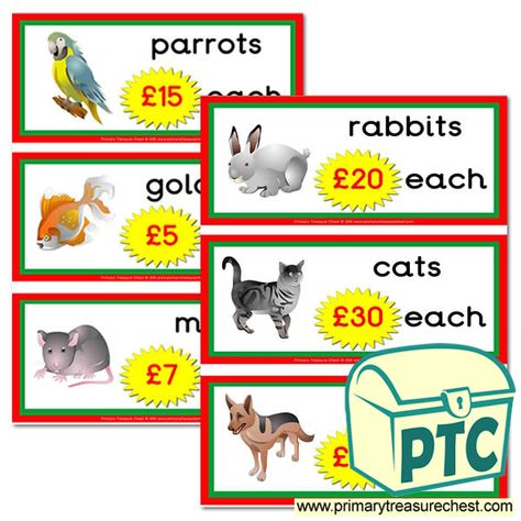 Pet Shop Role Play Resources - Primary Treasure Chest Shop Role Play, Cat M, Ourselves Topic, A4 Sheet, Teaching Activities, Dramatic Play, Role Play, Treasure Chest, Pet Shop