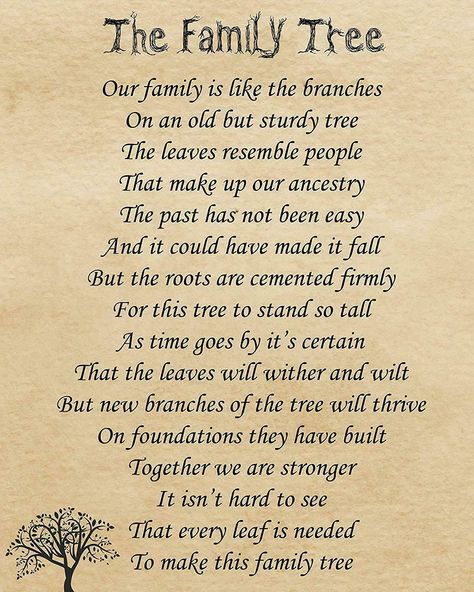 The Family Tree Poem 10x8 Picture With Optional Frame Ideal Genealogy Gift P8 | eBay Family Tree Poem, Family Poetry, Poems By William Shakespeare, Family Tree Quotes, Tag Quotes, Family Tree Book, Tree Poem, Genealogy Gifts, Letter From Heaven