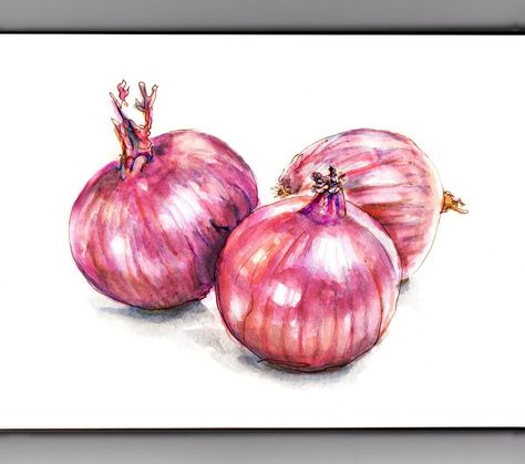 Watercolour Fruits, Onion Art, Onion Drawing, Watercolor Sketching, Aesthetic Objects, My Colors, Watercolor Books, Coffee Painting, Watercolor Fruit