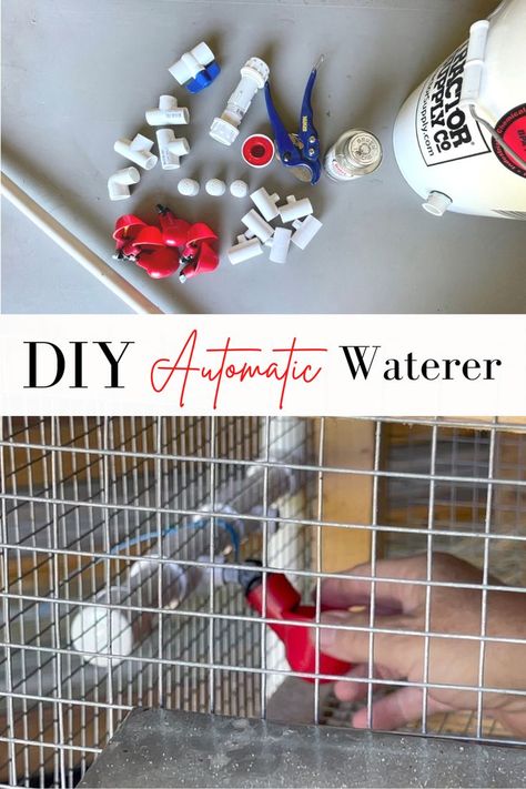 DIY Automatic Waterer #DIYwaterer #DIYautomaticwaterer #DIYautomaticwatererforquail #buildyourownautomaticwaterer Quail Waterer, Automatic Waterer, Homesteading Diy, Box Water, Diy Inspiration, Join Me, Box Fan, How To Build, Water