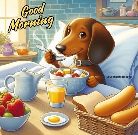 Winnie Dogs, Arte Dachshund, Good Morning Animals, Dachshund Birthday, Doxie Mom, Doxie Puppies, Good Night Funny, Smiley Happy, Good Morning Funny Pictures