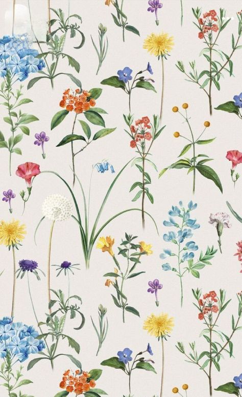 Clothing Background Design Ideas, Wild Flower Pattern, Botanical Wallpaper Iphone, Botanical Iphone Wallpaper, Flores Wallpaper, Vintage Flower Backgrounds, Aesthetic Floral Pattern, Botanical Background, Floral Wallpaper Nursery