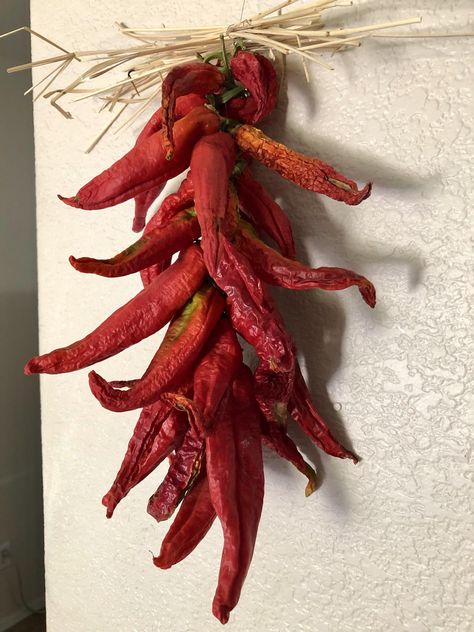 Chili Pepper Aesthetic, Peppers Aesthetic, Chili Aesthetic, Chili Ristra, Pepper Aesthetic, Chile Ristra, Seed Gardening, New Mexico Chili, Ateez Bouncy