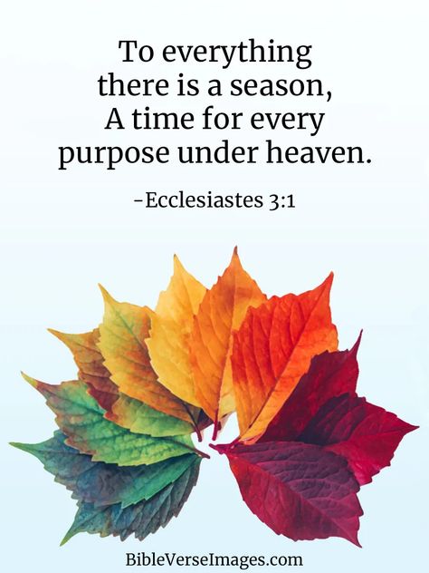 Ecclesiastes 3:1 - Bible Verse about Life - Bible Verse Images Bible Verse About Life, Bible Verses About Life, Psalm 24, Work For The Lord, Ecclesiastes 3, What Is Human, Bible Verse Background, Bible Verses About Faith, Best Bible Verses