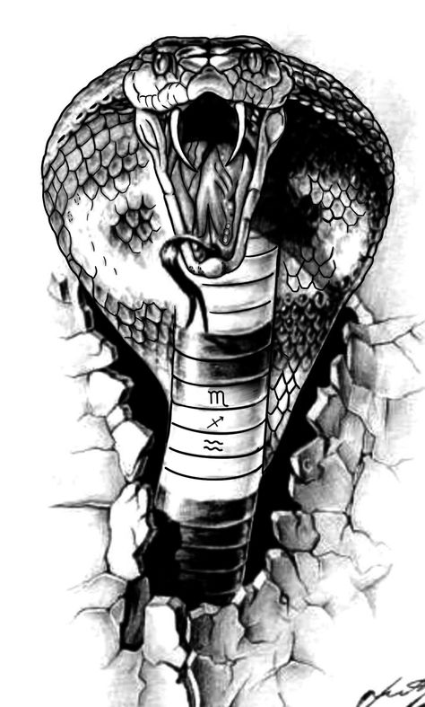 King Cobra Tattoo, Tattoo On The Shoulder, Snake Sketch, King Cobra Snake, Cobra Tattoo, Cobra Art, Petit Tattoo, Snake Drawing, Armband Tattoos