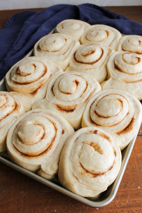 Cinnamon Rolls With Potato Dough 11 Cinnamon Roll Recipe With Mashed Potatoes, Potato Dough Cinnamon Rolls, Cinnamon Rolls With Potato, Mash Potato Cinnamon Rolls, Cinnamon Rolls Made With Mashed Potatoes, Potato Cinnamon Rolls Homemade, Flakey Cinnamon Rolls Homemade, Cinnamon Rolls With Mashed Potatoes, Amish Potato Rolls