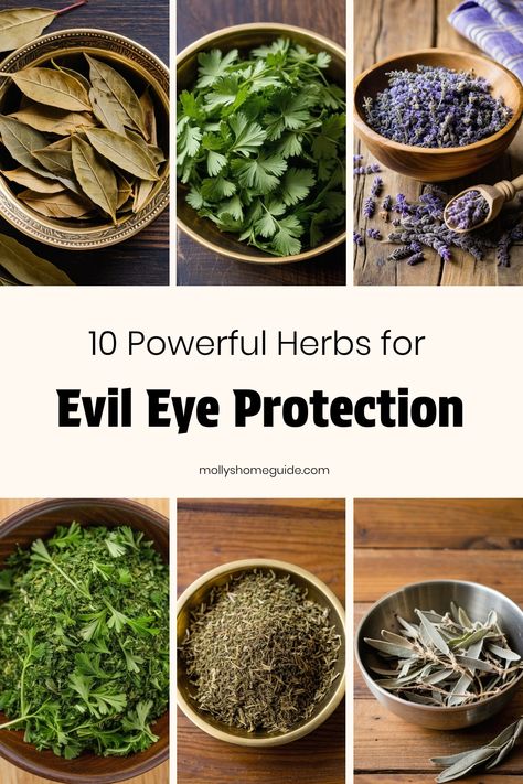 Discover the power of herbs for evil eye protection with these effective remedies. Ward off negative energy and shield yourself with natural protection from the evil eye. Learn how to remove curses and hexes using healing herbs to keep yourself safe and balanced. Explore the world of evil eye spells and find peace knowing you're protected from harmful energies. Embrace the strength of herbs for protection and create a powerful shield against any negativity that comes your way. Herbs Of Protection, Protect From Evil Eye, Protection Herbs, Curses And Hexes, Protection Against Evil Eye, Burning Herbs, Herbs For Protection, Keep Yourself Safe, Witch History