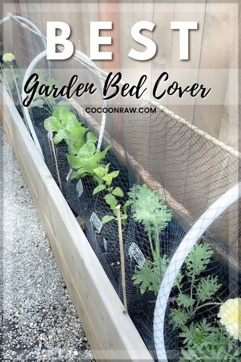 Wow! We have been working on expanding our kitchen garden and this Stylish Garden Bed Cover design have helped us to grow so much. It makes me excited to be able to grow vegetables without… More Easy Diy Garden Bed, Green House Aesthetic, Garden Bed Cover, Easy Garden Beds, Garden Mesh, Garden Bed Layout, Small Urban Garden, Green House Design, Bed Cover Design