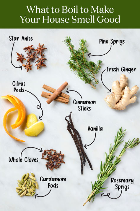 Wondering what to boil to make the house smell good? Here are 10 ingredients to throw in a stovetop simmer pot that'll have your space smelling good in no time. Boiling Spices For Scent, Spices To Boil To Make House Smell Good, Boiling Scents House Smells, Make The House Smell Good, Stovetop Simmer, Make Your Home Smell Good, Home Smell Good, Make Your House Smell Good, Make Your Home Smell Amazing