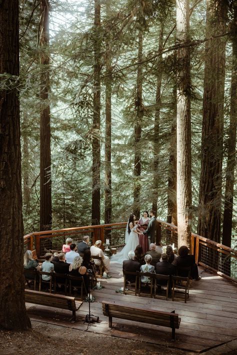 A romantic elopement wedding at the Redwood Deck in Portland Oregon, with a first dance under a waterfall and a candlelit dinner. Red Wood Elopement, Wedding In Redwood Forest, Oregon Winter Wedding, Forest Wedding Venues Oregon, Pnw Elopement Locations, Oregon Forest Wedding, Elope Oregon, Elopement Reception Ideas, Deck Wedding