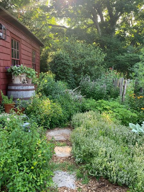 Messy Garden, Apple Garden, Garden Paving, Native Garden, Crab Apple, Front Yard Garden, Garden Landscape Design, Garden Edging, Garden In The Woods