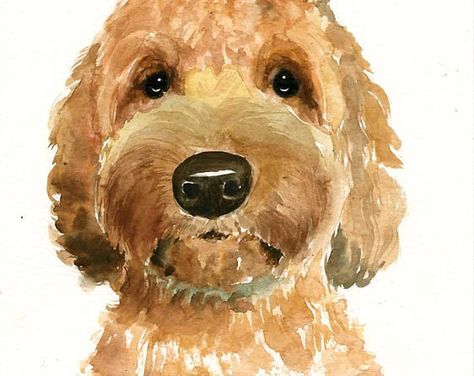 Golden Doodle Watercolor Painting, Goldendoodle Painting Easy, Diy Gifts Painting, Easy Watercolor Dog, Dog Watercolour Painting, Dog Watercolor Painting Easy, Cockapoo Painting, Golden Doodle Painting, Golden Doodle Watercolor