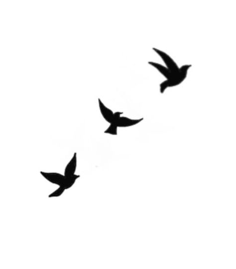 Two Bird Tattoo Small, Small Tattoos For Men Birds, 3 Black Birds Tattoo, Tattoo Doves Flying, Birds Flying Silhouette Tattoo, Dove Birds Tattoo, 3 Doves Flying Tattoo, Mini Dove Tattoo, Bird Tattoo Silhouette