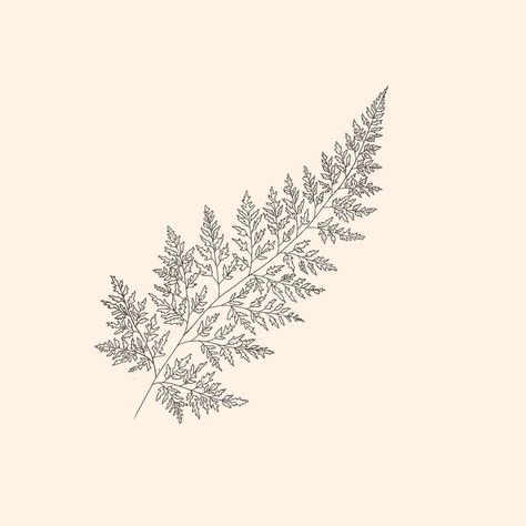 Fine Line Minimalist Fern Tattoo Design Fern Line Tattoo, Fern Tattoo Simple, Fineline Plant Tattoo, Fine Line Filler Tattoo, Fern Fine Line Tattoo, Fern Wrist Tattoo, Plant Tattoo Fine Line, Apricity Tattoo, Fine Line Tattoo For Men