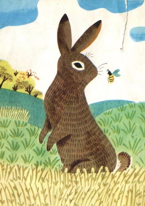 J.P. Miller Rabbit Illustration, Golden Book, Rabbit Art, Year Of The Rabbit, Bunny Art, Little Golden Books, Arte Animal, Art And Illustration, Woodland Creatures