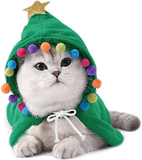 Amazon.com : ANIAC Pet Christmas Costume Puppy Xmas Cloak with Star and Pompoms Cat Santa Cape with Santa Hat Party Cosplay Dress for Cats and Small to Medium Sized Dog (Large, Green) : Pet Supplies Cat Christmas Costumes, Funny Cat Clothes, Cute Cat Costumes, Christmas Pet Clothes, Hot Dog Bar, Dog Xmas, Gatto Carino, Söpö Kissa, Koci Humor