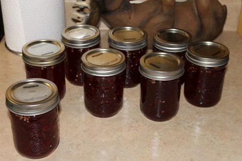 Crabapple Pepper Jelly Recipe, Crab Apple Pepper Jelly, Crabapple Hot Pepper Jelly, Crab Apple Hot Pepper Jelly, Crab Apple Jam, Chilli Jelly Recipe, Apple Hot Pepper Jelly, Freezing Food Storage, Pectin Recipes