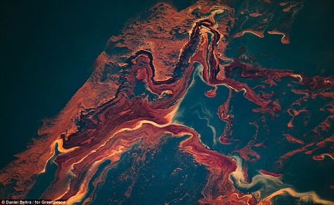 Aerial view of oil leaked into the Gulf of Mexico. After the Deepwater Horizon platform sank on the 22nd April 2010, it began a spill that released over 60,000 barrels of crude oil every day for the next three months Deepwater Horizon Oil Spill, Deepwater Horizon, Coastal Birds, Ocean Pollution, Ocean Canvas, Water Pollution, Oil Spill, Crude Oil, Oil Slick