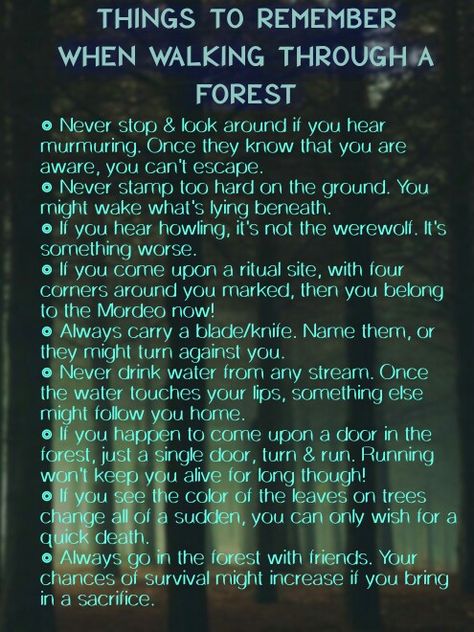 #creepy #spooky #forests #forest Words To Describe A Forest, Don't Let The Forest In, Unsettling Forest, Creepy Things To Say, Creepy Words, Creepy Poems, Creepy Woods, Creepy Forest, Demonic Quotes