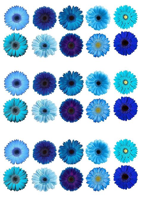 Paper Cupcake Toppers, Edible Wafer Paper, Gerbera Flower, Flower Cake Toppers, Edible Paper, Edible Cupcake Toppers, Flower Daisy, Edible Ink, Wafer Paper