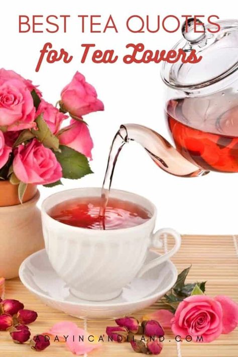 Afternoon Tea Quotes, Tea Sayings And Quotes, Tea Party Quotes, Afternoon Tea Party Ideas, Tea Sayings, Tea Time Quotes, Tea Party Activities, Tea Lover Quotes, Tea Party Ideas